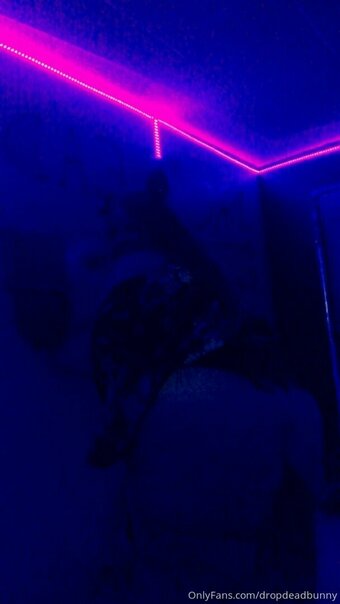 dropdeadbunny Nude Leaks Photo 10