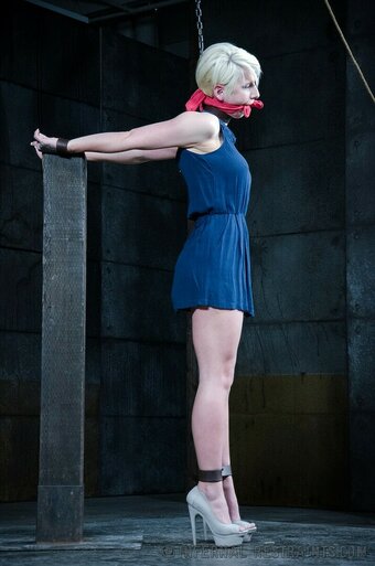 Dylan Phoenix Nude Leaks Photo 18