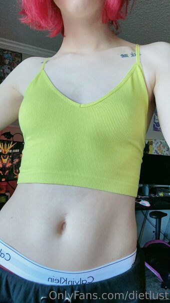 Ecchievement / Dietlust Nude Leaks OnlyFans Photo 14