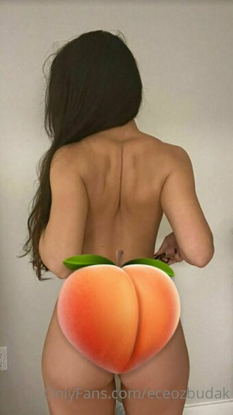 eceozbudak Nude Leaks OnlyFans Photo 8