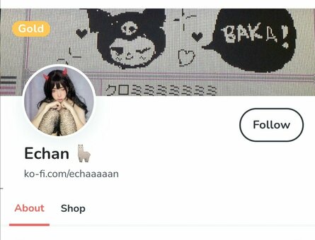 Echan 宇こ韻 / Echanqwq / echaaan_0 / erikaaa_0 / inmanrap Nude Leaks Photo 18