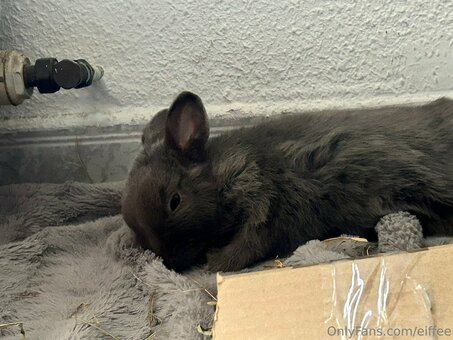 eiffee Nude Leaks Photo 19