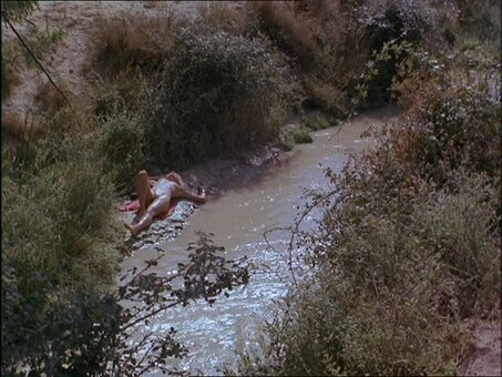 Ellen Barkin / ellen_barkin2004 Nude Leaks Photo 2