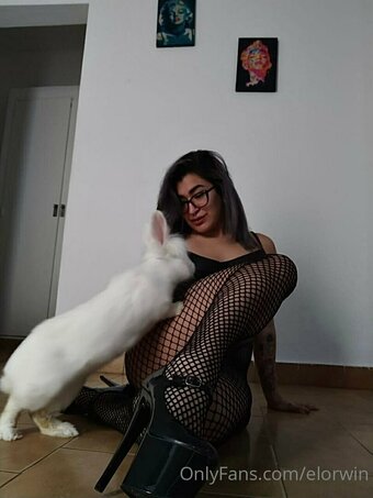 elorwin Nude Leaks Photo 19
