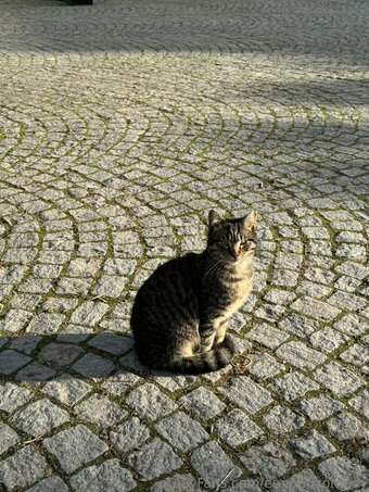 emmadcomedy Nude Leaks Photo 17