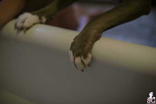 Eowyn_ / api2 Nude Leaks OnlyFans Photo 11