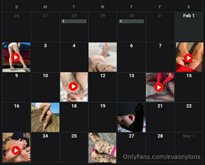 evasnylons Nude Leaks Photo 16