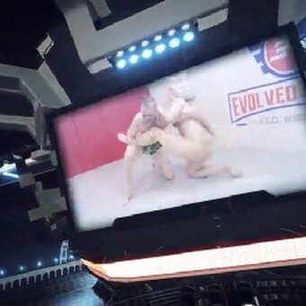 Evolved Fights / evolvedfightslez Nude Leaks Photo 1