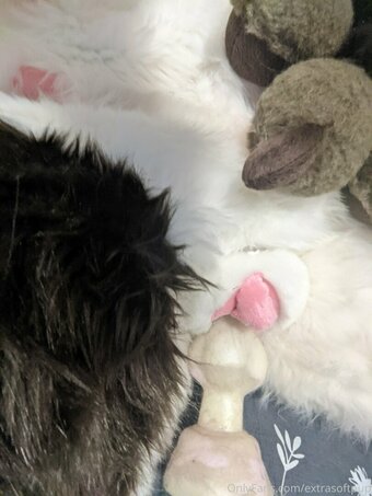 extrasoftpup Nude Leaks Photo 4