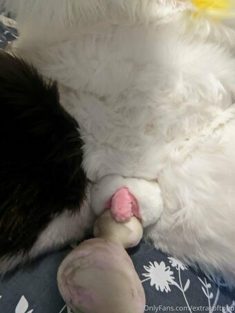 extrasoftpup Nude Leaks Photo 5