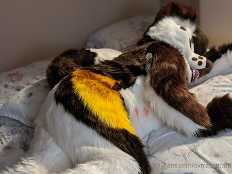 extrasoftpup Nude Leaks Photo 8