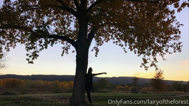 fairyoftheforest / Luna morgan / thefaeryforest Nude Leaks OnlyFans Photo 24