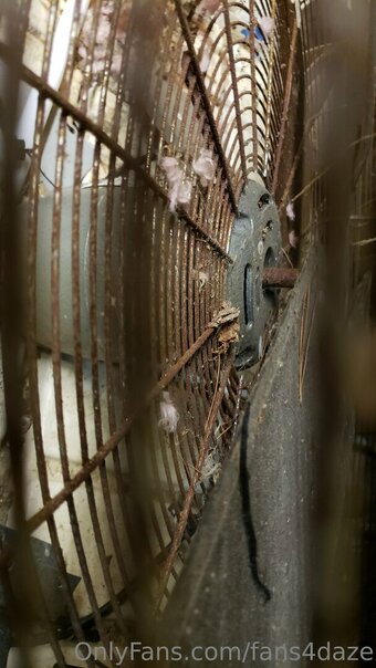 fans4daze Nude Leaks Photo 17