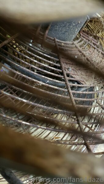 fans4daze Nude Leaks Photo 18