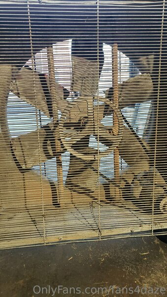 fans4daze Nude Leaks Photo 22