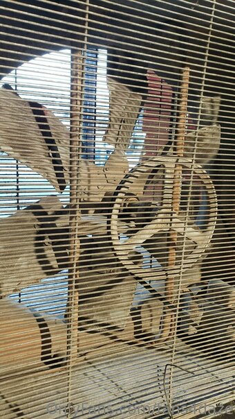 fans4daze Nude Leaks Photo 23