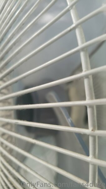 fans4daze Nude Leaks Photo 25