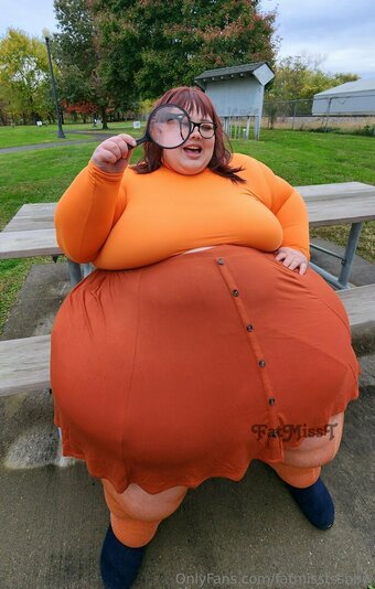 fatmisstssbbw Nude Leaks Photo 2