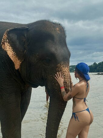 Feibei / feiibei / https: Nude Leaks Photo 9