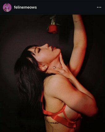 felinemeows Nude Leaks OnlyFans Photo 27