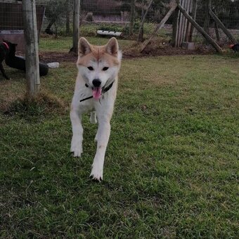 firefliesirl / milastauffer__ Nude Leaks OnlyFans Photo 12