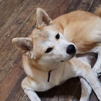 firefliesirl / milastauffer__ Nude Leaks OnlyFans Photo 13