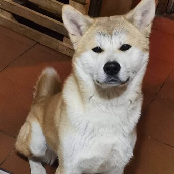 firefliesirl / milastauffer__ Nude Leaks OnlyFans Photo 16