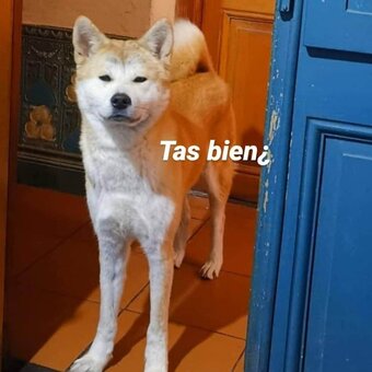 firefliesirl / milastauffer__ Nude Leaks OnlyFans Photo 18