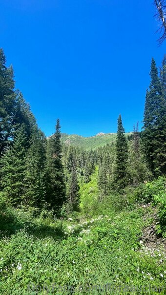 floraauclair Nude Leaks Photo 20