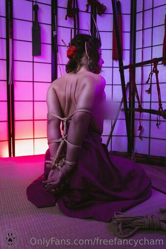 freefancycham Nude Leaks Photo 19