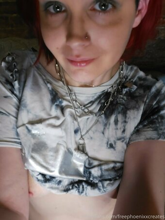 freephoenixxcreates Nude Leaks Photo 20