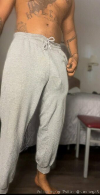 freesunmega Nude Leaks Photo 8