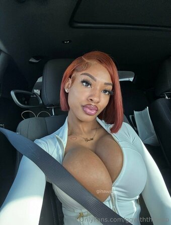 ginawap1 Nude Leaks Photo 5