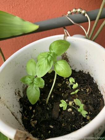 goddessdevyn Nude Leaks Photo 1