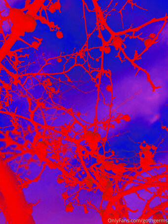 Gothgerms Nude Leaks OnlyFans Photo 93