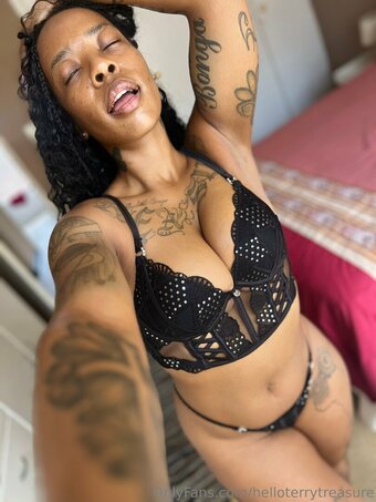 helloterrytreasure Nude Leaks Photo 2