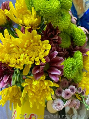 hellsingqueen666 Nude Leaks Photo 17