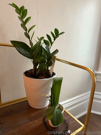 hellterskelter8 Nude Leaks Photo 15