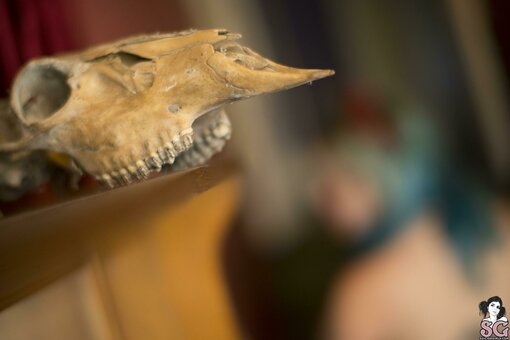 Hephaestus_ / hephaestusent Nude Leaks Photo 17