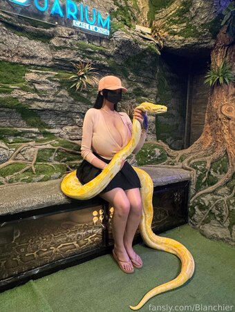 ImpartialBunny / theimpartialbunny Nude Leaks Photo 15