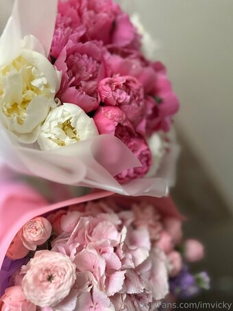 imvicky Nude Leaks Photo 4