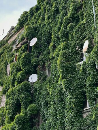 imvicky Nude Leaks Photo 6