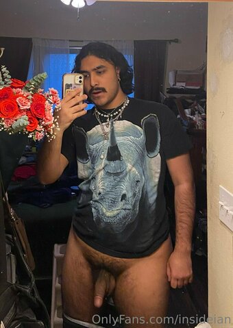 insideian Nude Leaks Photo 18