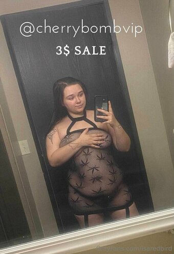 isaredbird Nude Leaks Photo 28