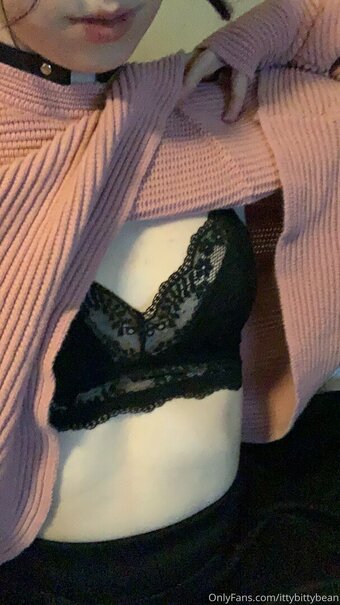 ittybittybean Nude Leaks Photo 12