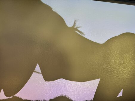 jackiefuxcks / jackiefux / mojang444 Nude Leaks OnlyFans Photo 8