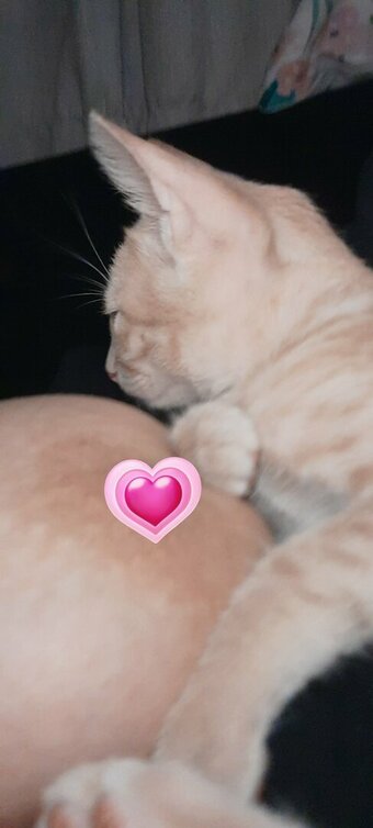 Jadeackerman / _jadeackerman Nude Leaks Photo 5