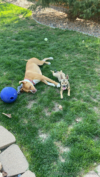 jakevcomedy Nude Leaks Photo 1