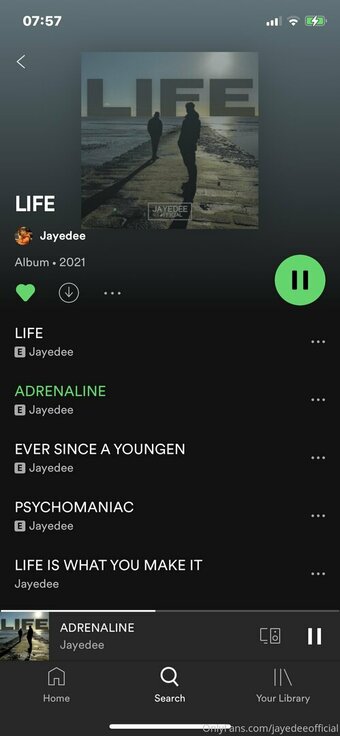 jayedeeofficial Nude Leaks Photo 15