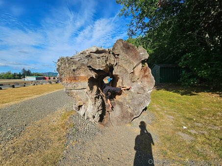 jayyvonly Nude Leaks Photo 14